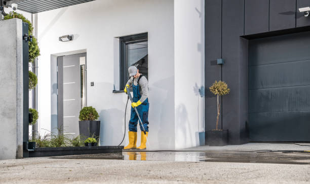 Best Rust Removal  in Harrisonville, MO